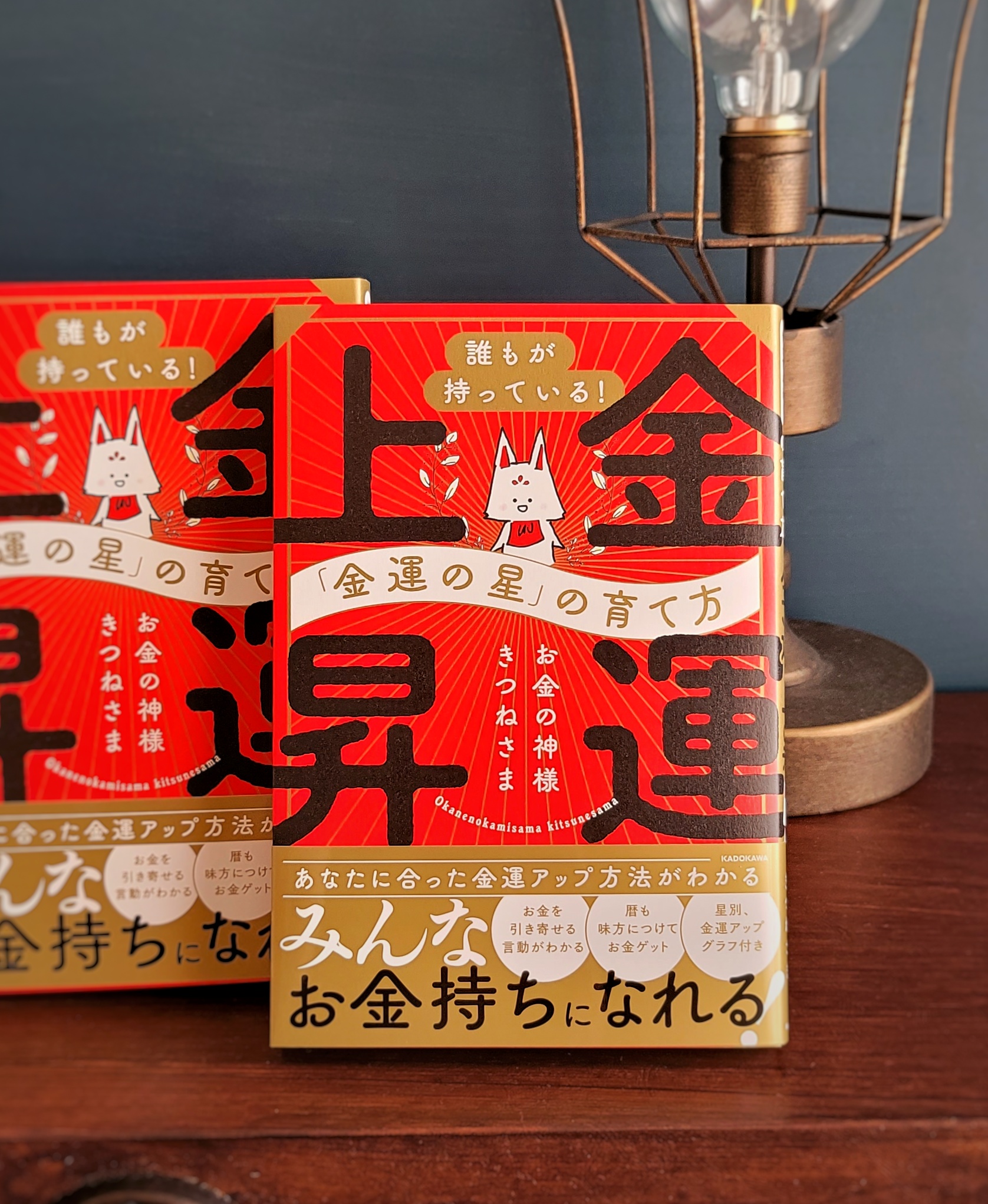 金運の星 書籍カバー